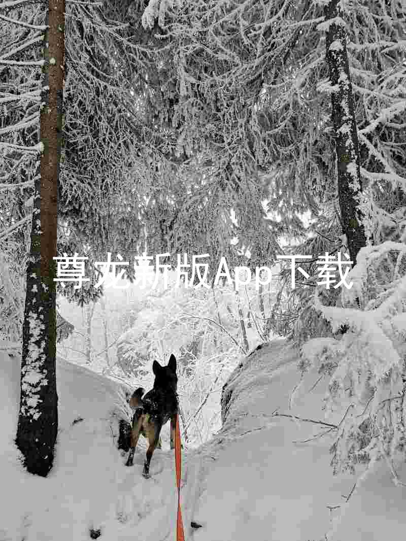 尊龙新版App下载